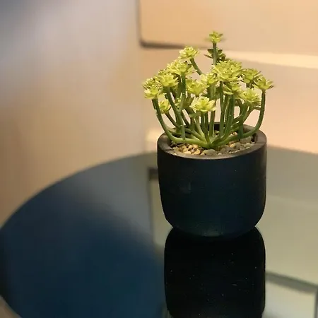 Appartamento Urban Maison