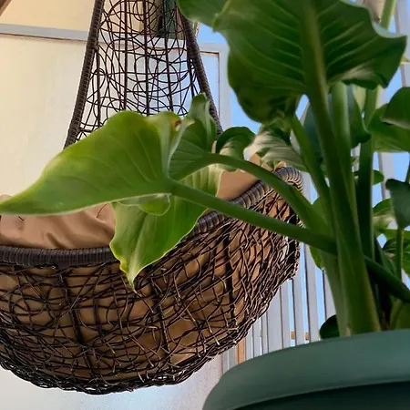 Urban Maison Апартаменты Лариса