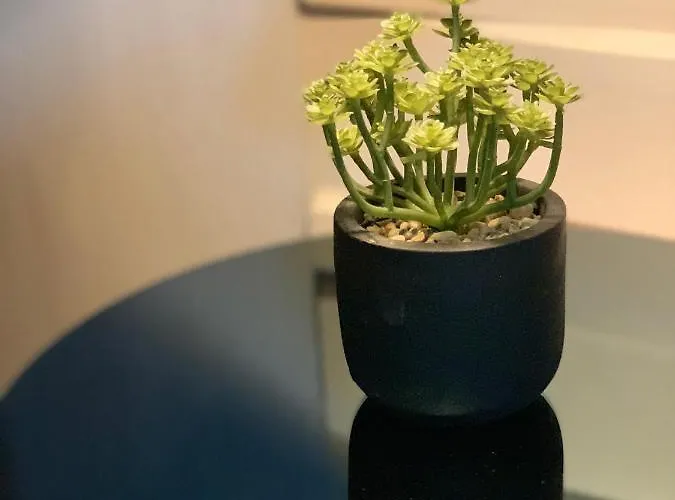 Apartamento Urban Maison