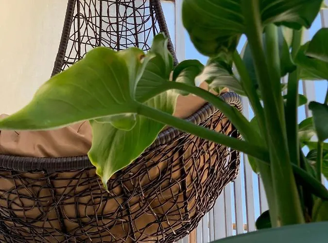 Urban Maison Apartamento Larissa